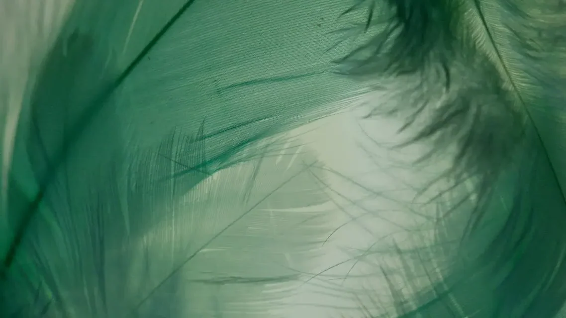 What Color Represents Resilience?